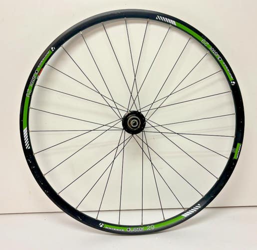 Bontrager Duster 32-Spoke Black Aluminum Disc Brake Thru Axle 29er Rear Wheel