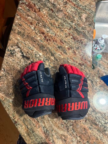Warrior Alpha Gloves 10" (Used)