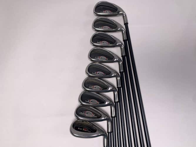 Callaway Big Bertha 2002 Iron Set 4-PW+GW+SW RCH 75i Regular Graphite Mens RH