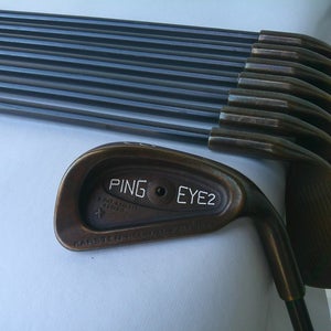 Ping EYE2+ Beryllium Copper (3i-W) Iron Set w/ UST Stiff Shaft - Black Dot