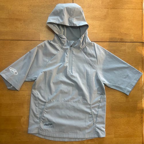 Gray Large Boys Rawlings (Used)