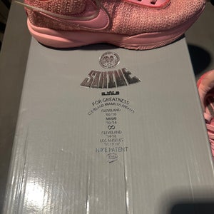 Size M 6.0 (W 7.0) LeBron 20 Pink Diamond