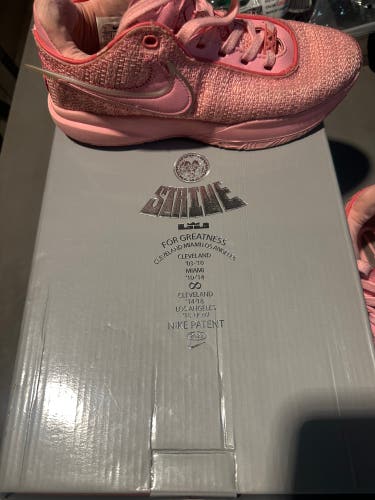 Size M 6.0 (W 7.0) LeBron 20 Pink Diamond