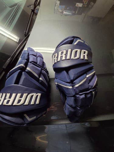 Warrior Alpha LX Pro Gloves 14" (Used)