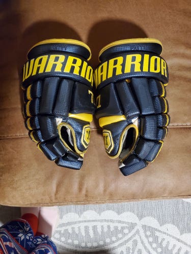 Warrior Franchise Gloves 14" Pro Stock (Used)