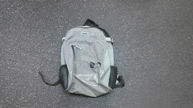 Used Franklin BAT BAG BB/SB Player Carry Bag Grey 11339-S000197156
