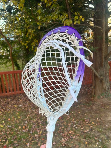 Custom-Dyed STX Eclipse 2 Strung Goalie Head (New)