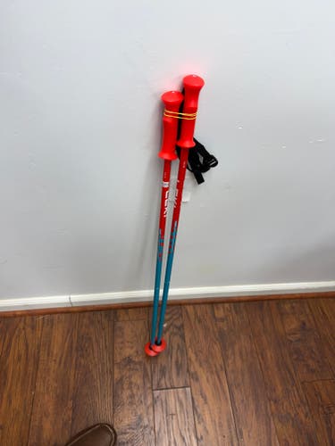 36in (90cm) Leki All Mountain RIDER Ski Poles (New)