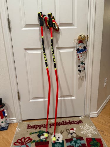 48in (120cm) Leki World Cup Lite GS Ski Poles (Used)