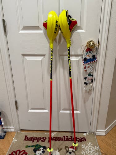 48in (120cm) Leki World Cup SL Ski Poles (Used)