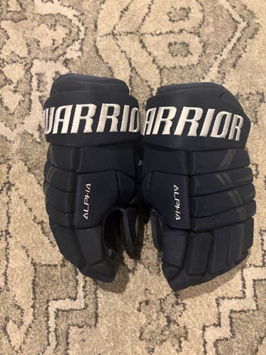 Warrior Alpha Gloves (Used)