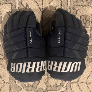 Warrior Gloves 15" (Used) Alpha Lite