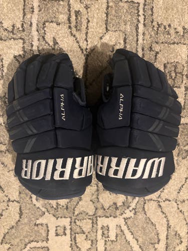 Warrior Gloves 15" (Used) Alpha Lite