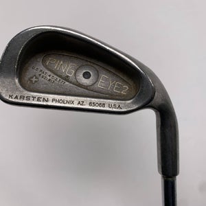 Ping Eye 2 + Single 6 Iron Black Dot True Temper Dynamic Gold Regular RH