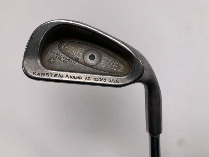 Ping Eye 2 + Single 6 Iron Black Dot True Temper Dynamic Gold Regular RH