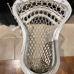 STX Stallion 900 Strung Head (Used)