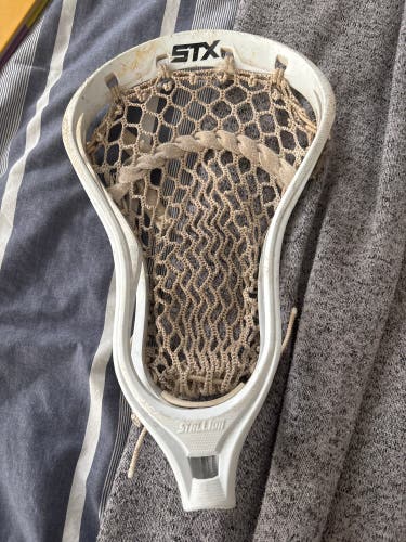 STX Stallion Strung Head (Used)