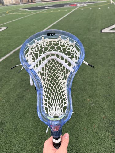 Blue STX STALLION PRISM Strung Head (Used)