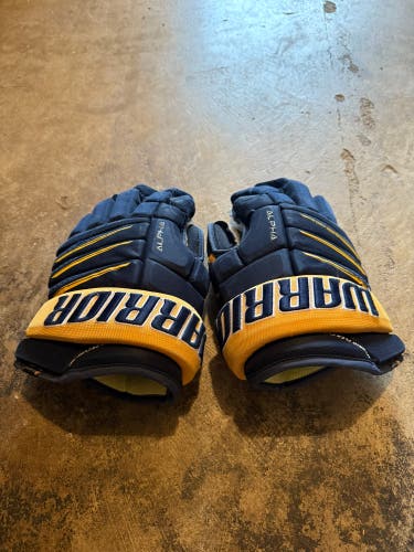 Warrior Alpha Pro Gloves 14" (Used)