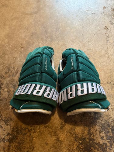 Warrior Alpha Gloves 14" (Used)