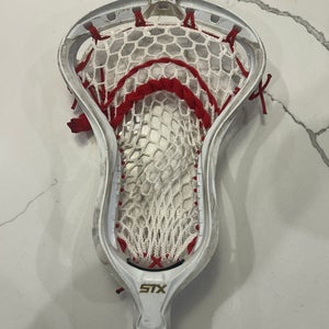 STX Stallion Strung Head (Used)