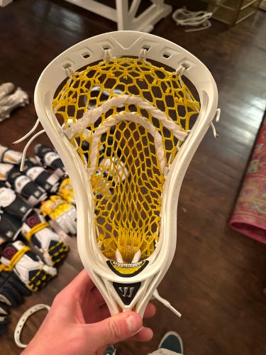 Warrior Regulator Max Head (New)