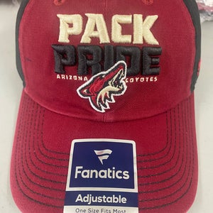Arizona Coyotes Hat