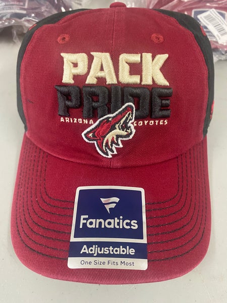 Arizona Coyotes Hat
