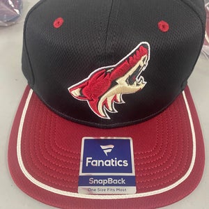 Arizona Coyotes Hat (New)