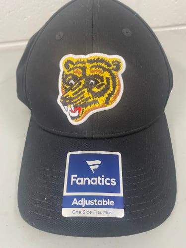 Boston Bruins Hat