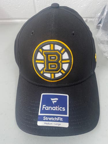 Boston Bruins Hat
