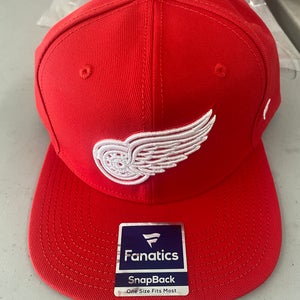 Detroit Red Wings Hat
