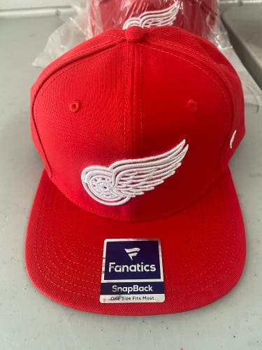 Detroit Red Wings Hat