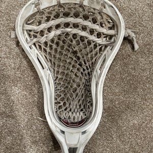 STX Hammer Head