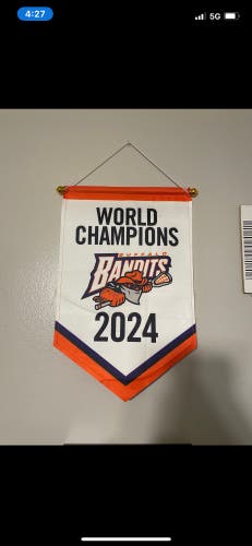 buffalo bandits championship banner