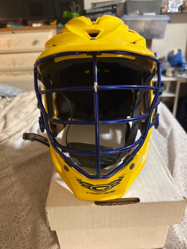 Cascade R Helmet (Used)