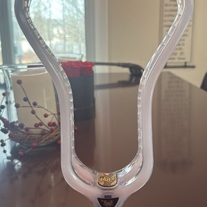 ECD Ion Head (New) beta unreleased