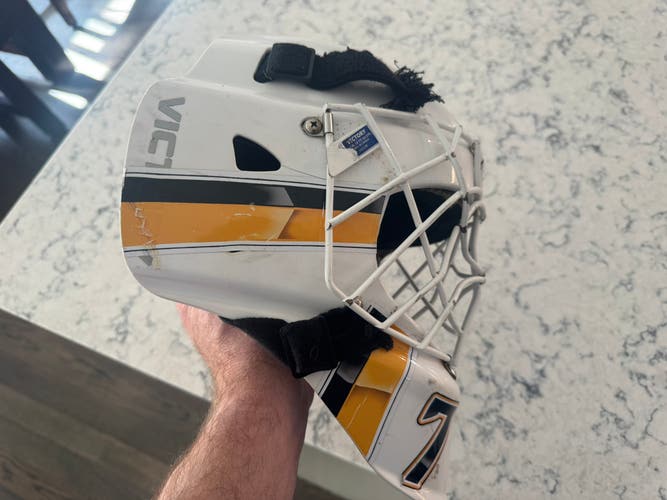 Junior Large V2 Goalie Mask (Used)