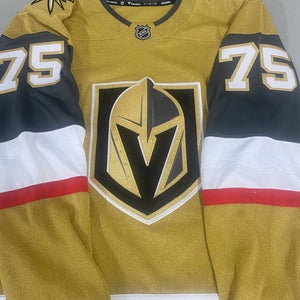 Vegas Golden Knights men's large Jersey
