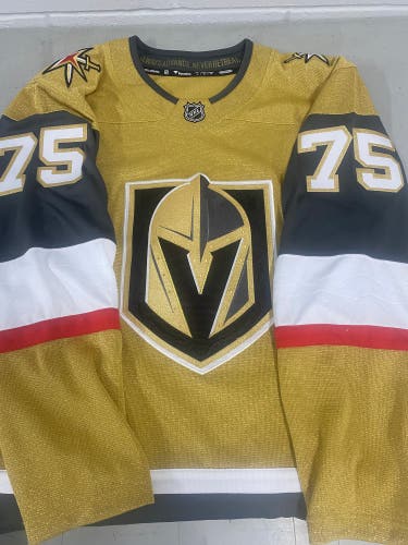Vegas Golden Knights men's large Jersey