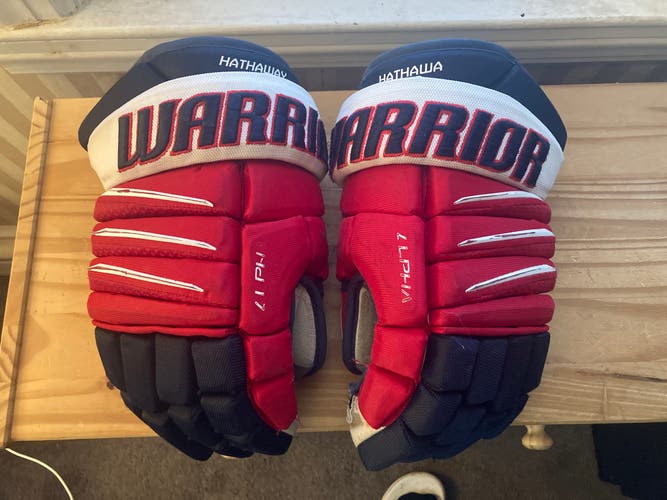 Warrior Alpha DX Pro Gloves 14" Pro Stock Capitals