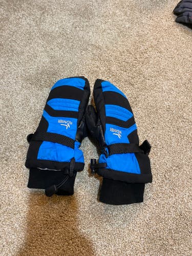 Blue Large Kids Unisex Gloves (Used)