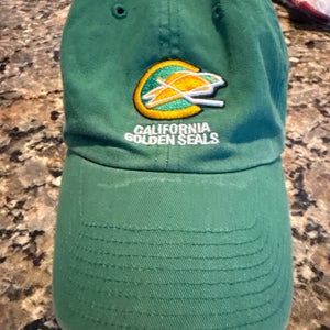 Green Adult Unisex One Size Fits All 47 Brand Hat (Used)