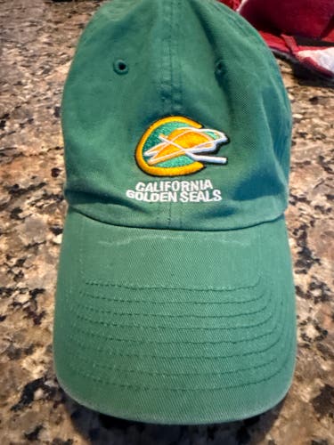 Green Adult Unisex One Size Fits All 47 Brand Hat (Used)