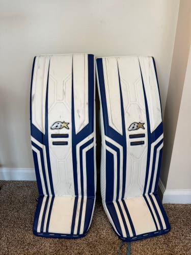Brian’s Optik 3 leg pads and Blocker