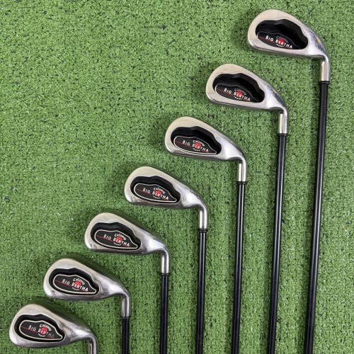 Callaway Big Bertha 2004 Iron Set 3-9 Graphite Firm Flex RCH 75i -1/2 Short