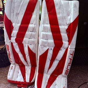 31" 2024 True 7X3 Regular Goalie Full Set (Used)