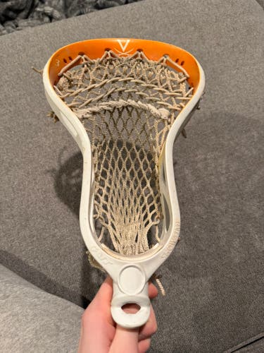 Gait Showtime with UVA dye and UVA TEAM ISSUED