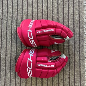 Fischer CT850 Gloves 14" (Used)