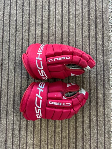 Fischer CT850 Gloves 14" (Used)